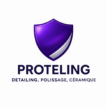 logo de proteling détail automobile